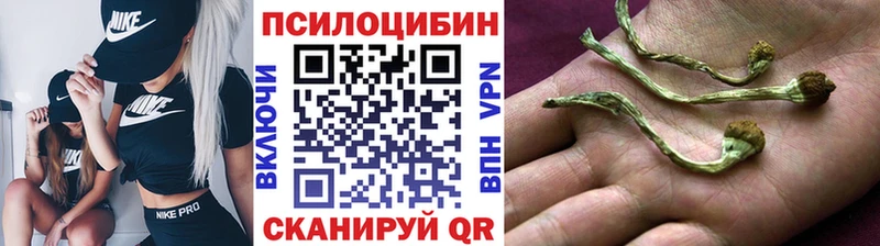 Псилоцибиновые грибы Psilocybine cubensis  Купить закладки  Олёкминск 